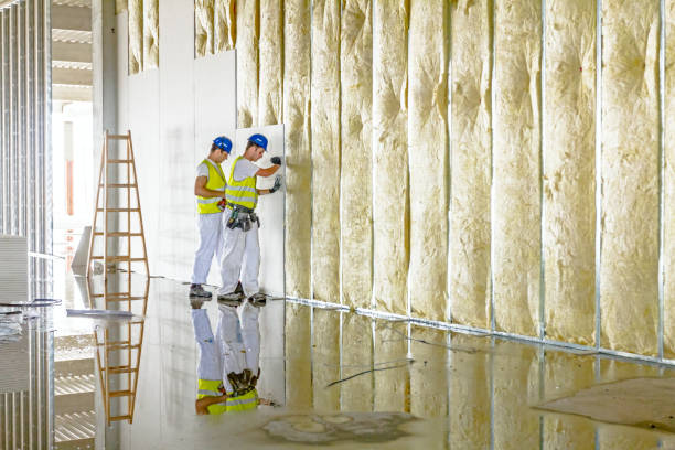 Best Types of Insulation in Hamilton, TX